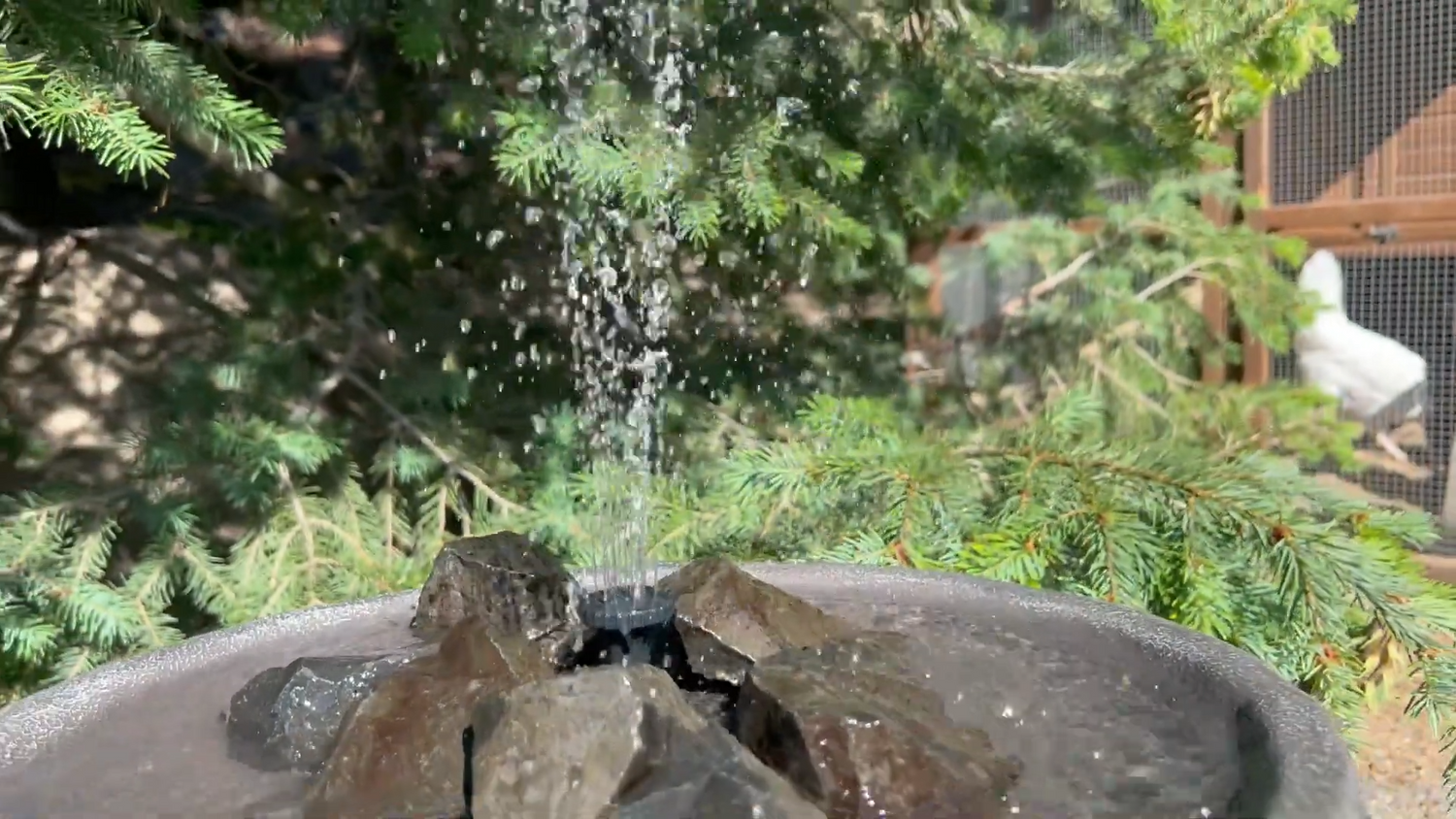 Customer Story: Poposoap Solar Bird Bath Fountain – How to Enhance Garden Vitality?