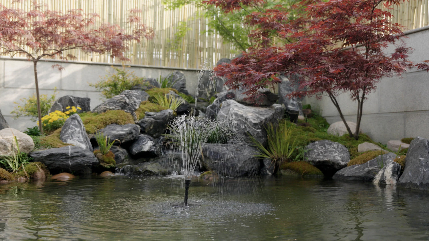 Reasons to trust Poposoap Solar Fountain Pumps