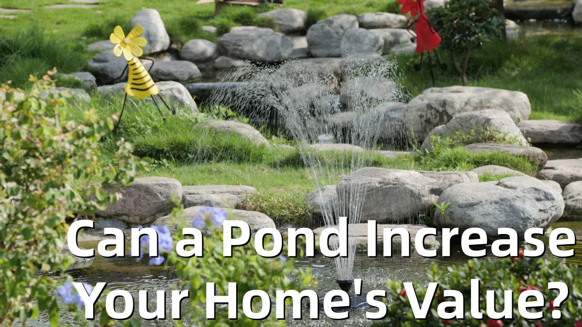 Can a Pond Increase Your Home Value