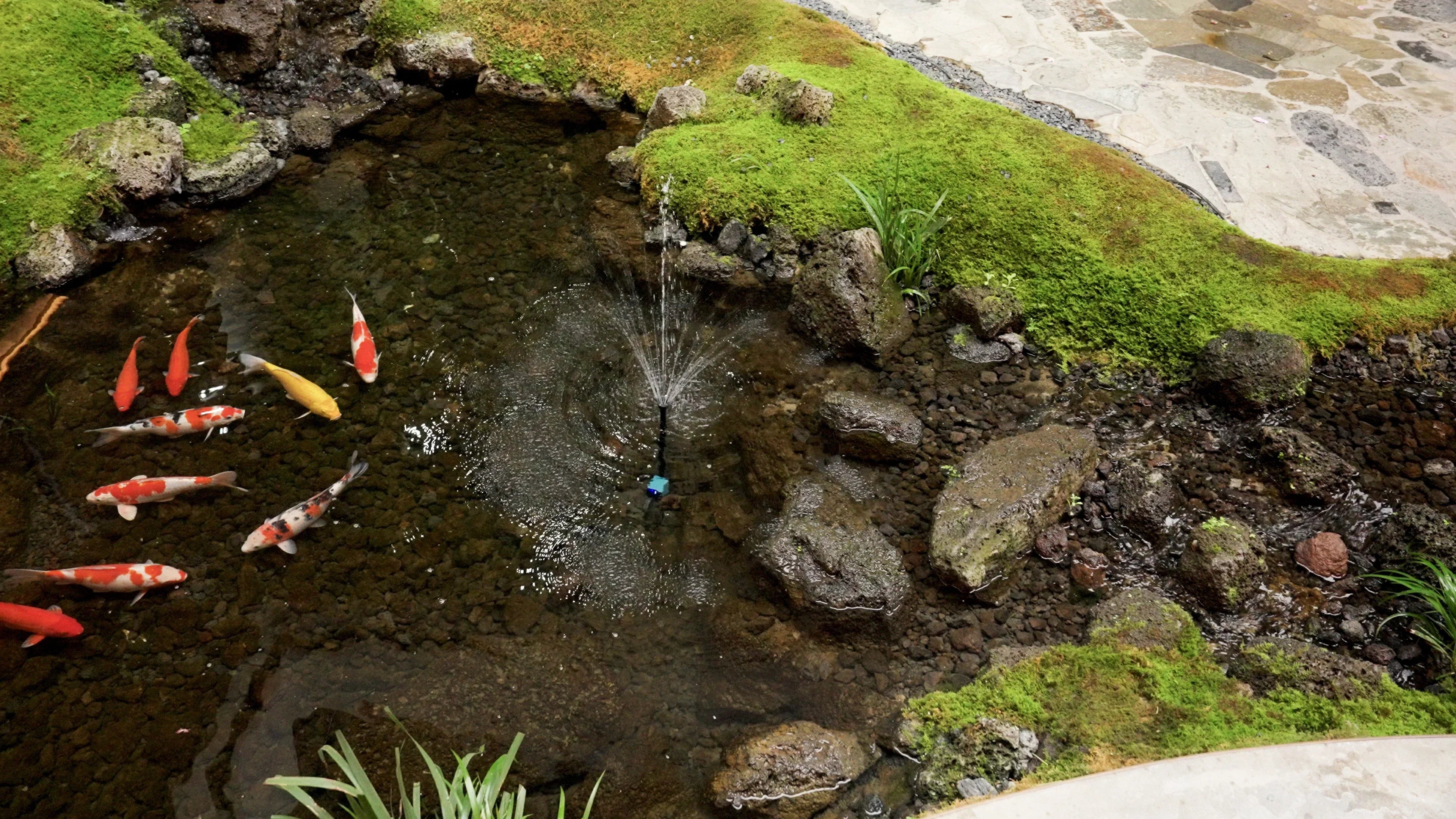 Create a Peaceful Outdoor Sanctuary with a Poposoap Solar Water Fountain