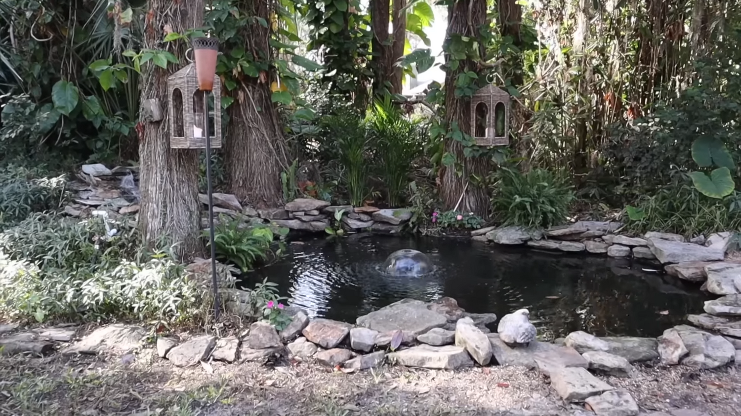 Revitalizing an Old Pond: Creating a Fantastic Backyard Waterscape