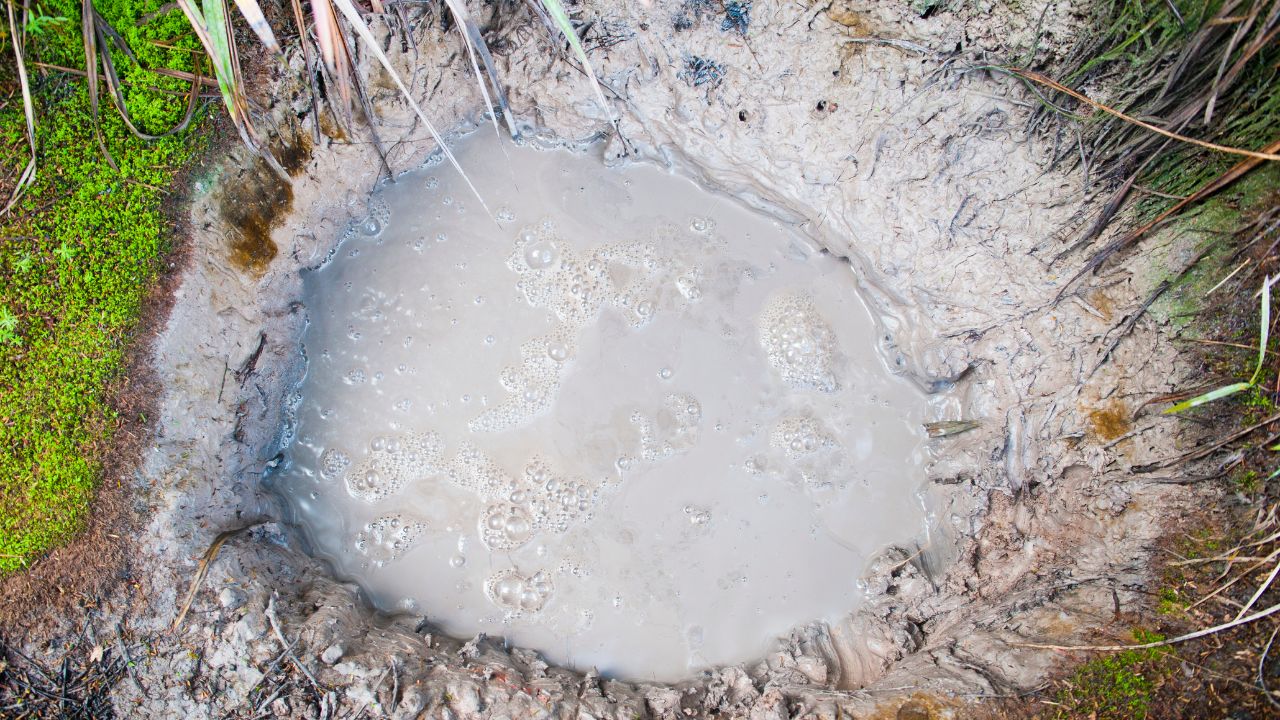 How to Clean Muck from the Bottom of a Pond: Easy Cleaning Tips