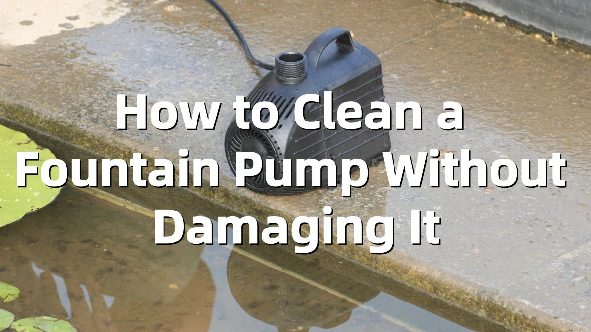 How to Clean a Fountain Pump Without Damaging It