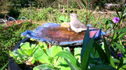 Why Choose Poposoap Solar Birdbath Pumps? Energy Saving and Environmental Protection