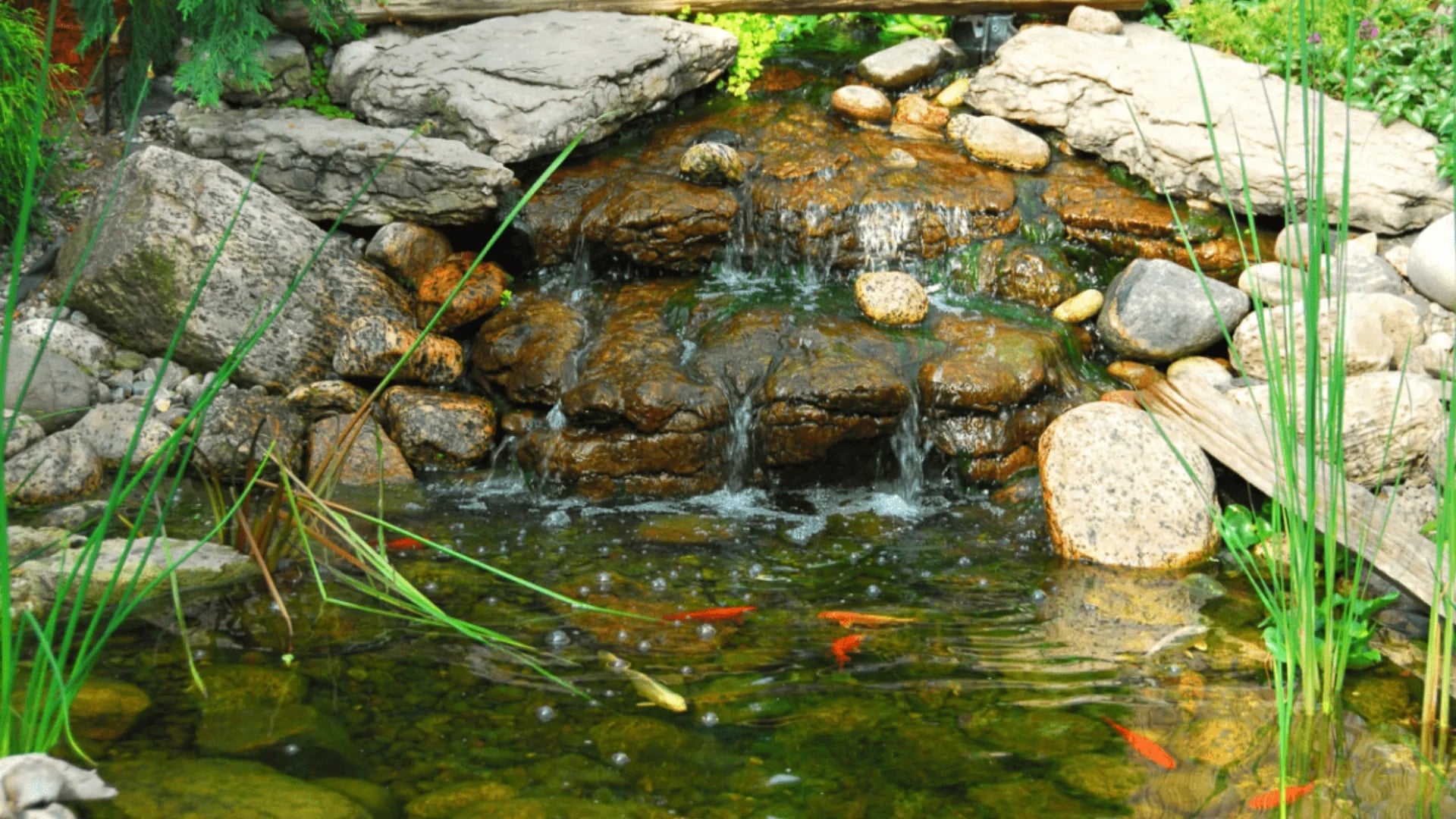 Real User Story: How Did Poposoap Solar Powered Floating Water Fountain Change Their Ponds?