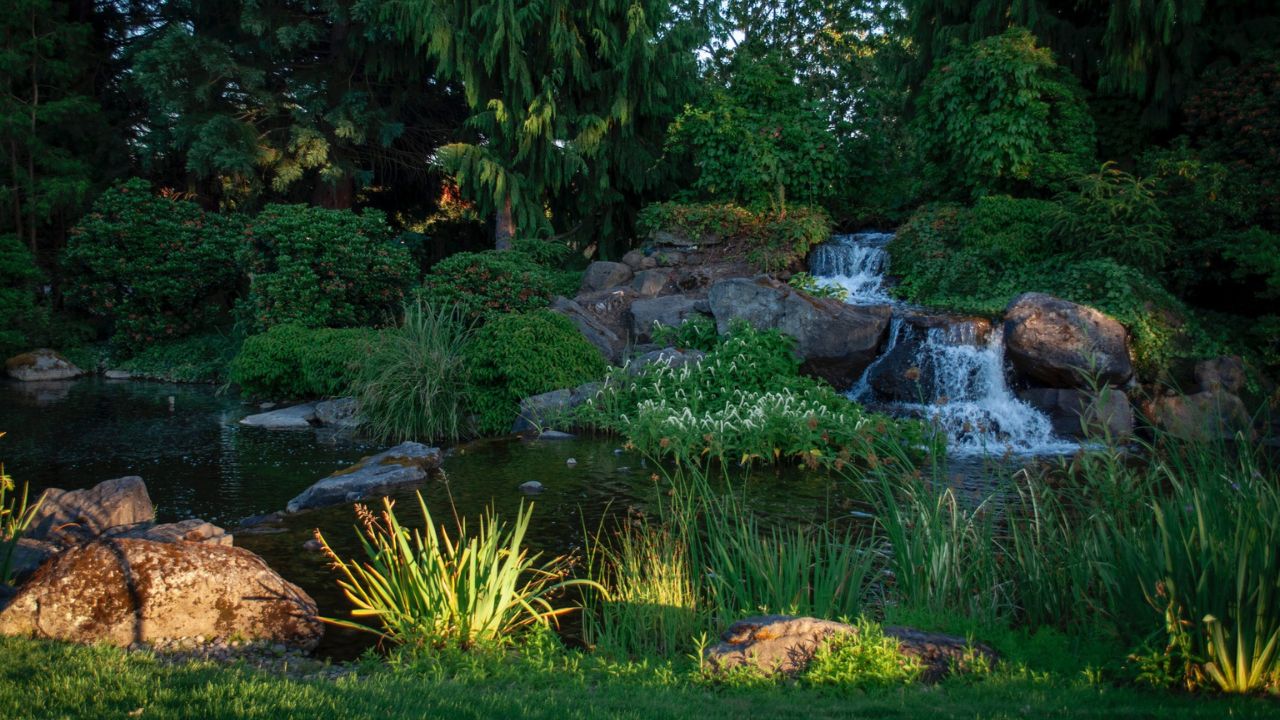 Pretty Pond