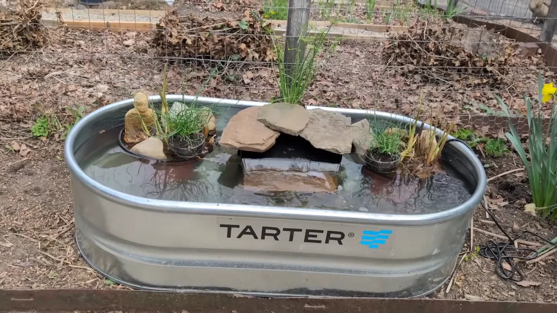 The Transformation of the Fish Pond in a Small Urban Farm