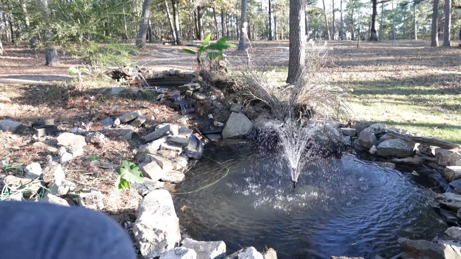 Winter Vacation for Homeschooling Families: Learning, Exploration and Fun Coexist