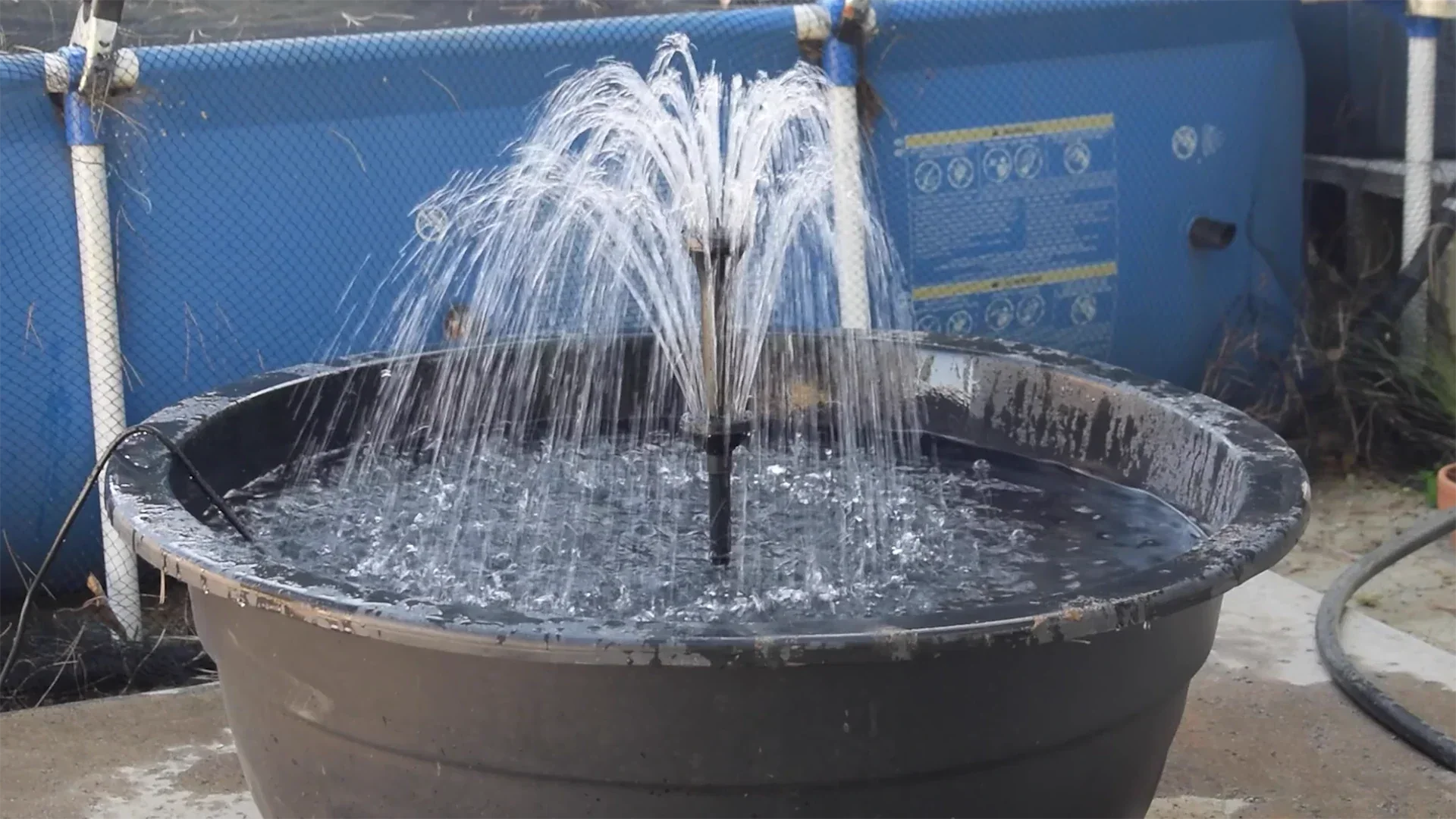 cheap pond filter with pump fountain kit review