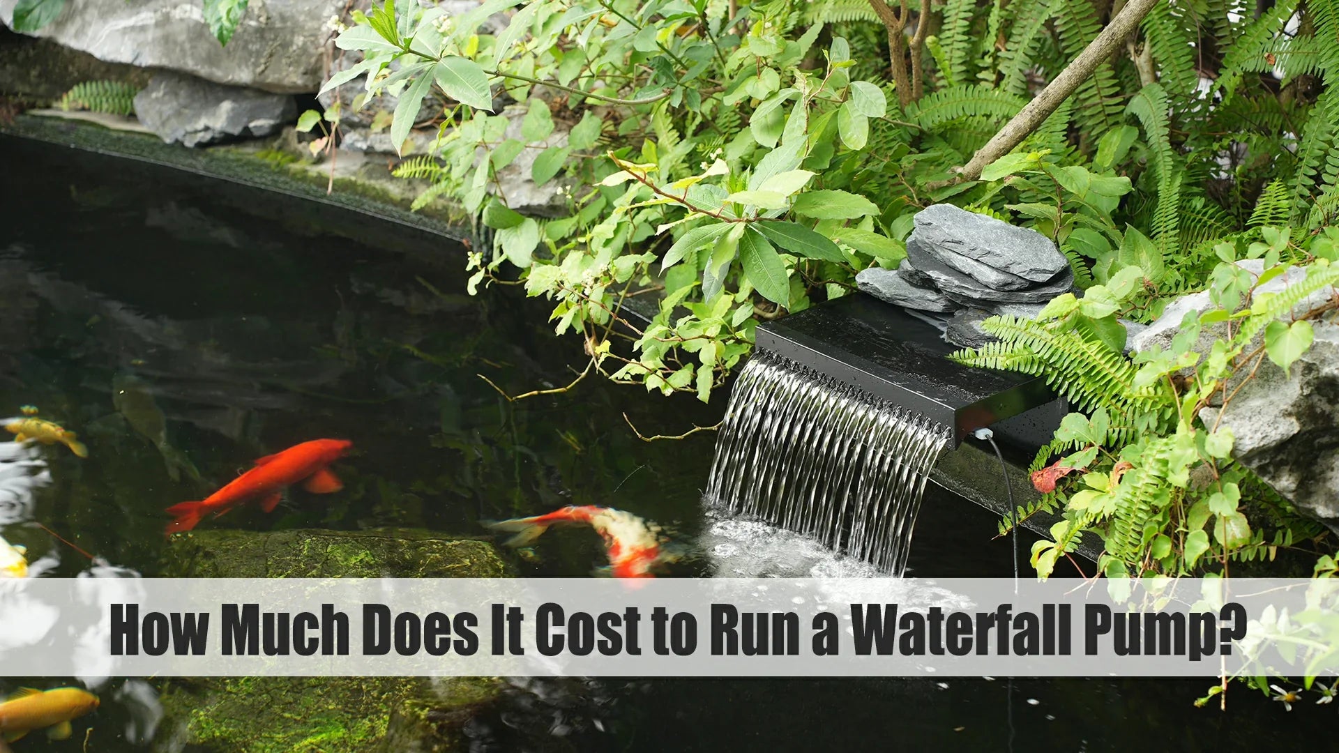 How Much Does It Cost to Run a Waterfall Pump?