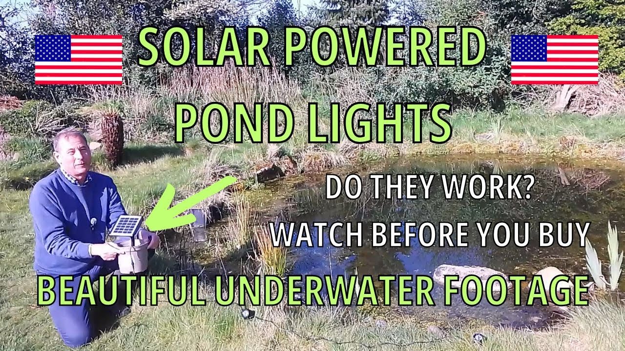 Light Up The Pond At Night: The Charm Of Poposoap Solar Pond Lights