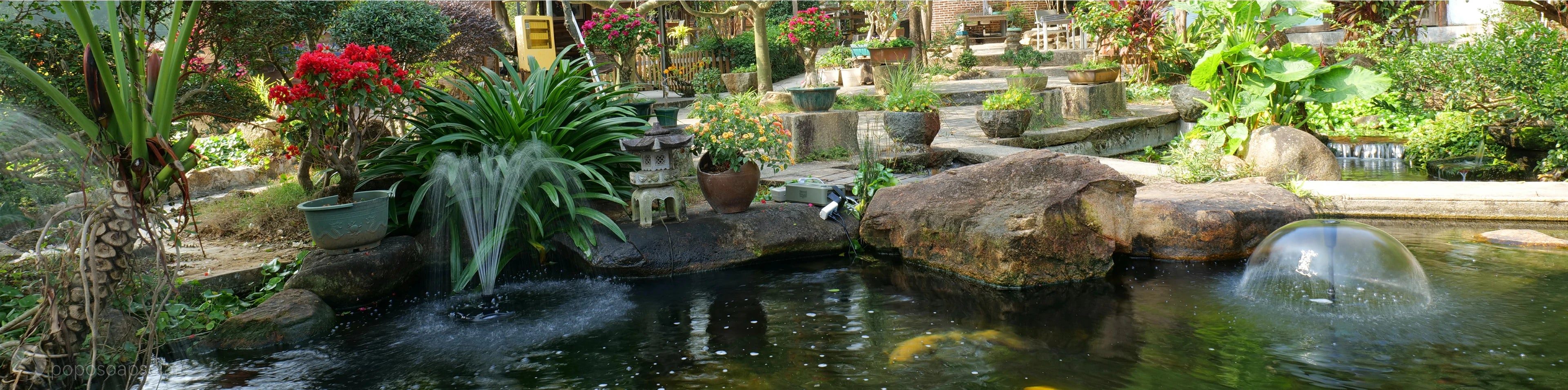 Create a Decorative Pond with Poposoap