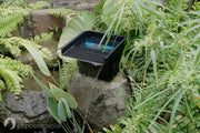 Eco-Friendly Ecosystem