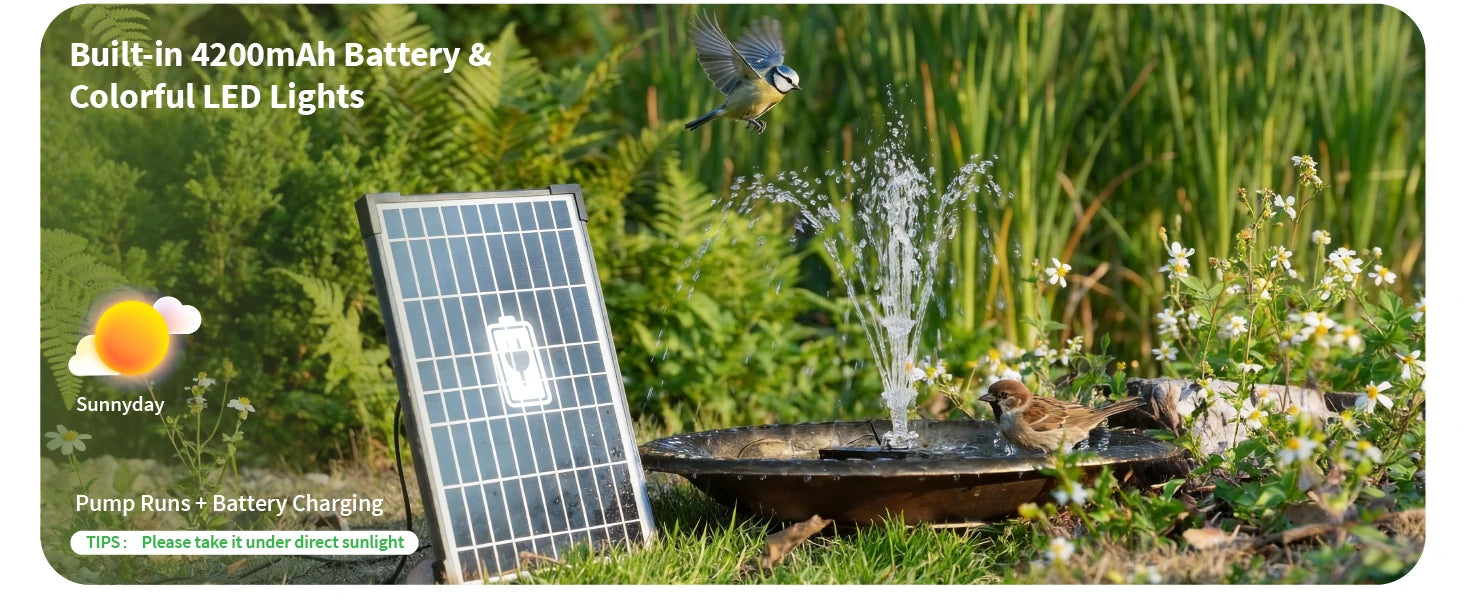 Day to Night Enchantment: Seamless Performance Under Any Weather