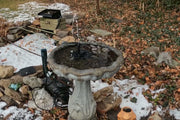 In autumn, fallen leaves should be regularly removed to prevent eutrophication of water bodies.