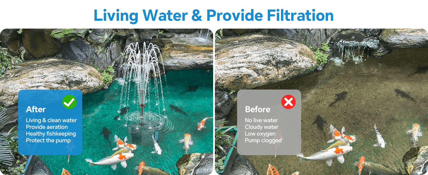 Achieve Crystal-Clear Water & a Thriving Pond Ecosystem!