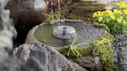 Includes multiple fountain heads for different spray patterns