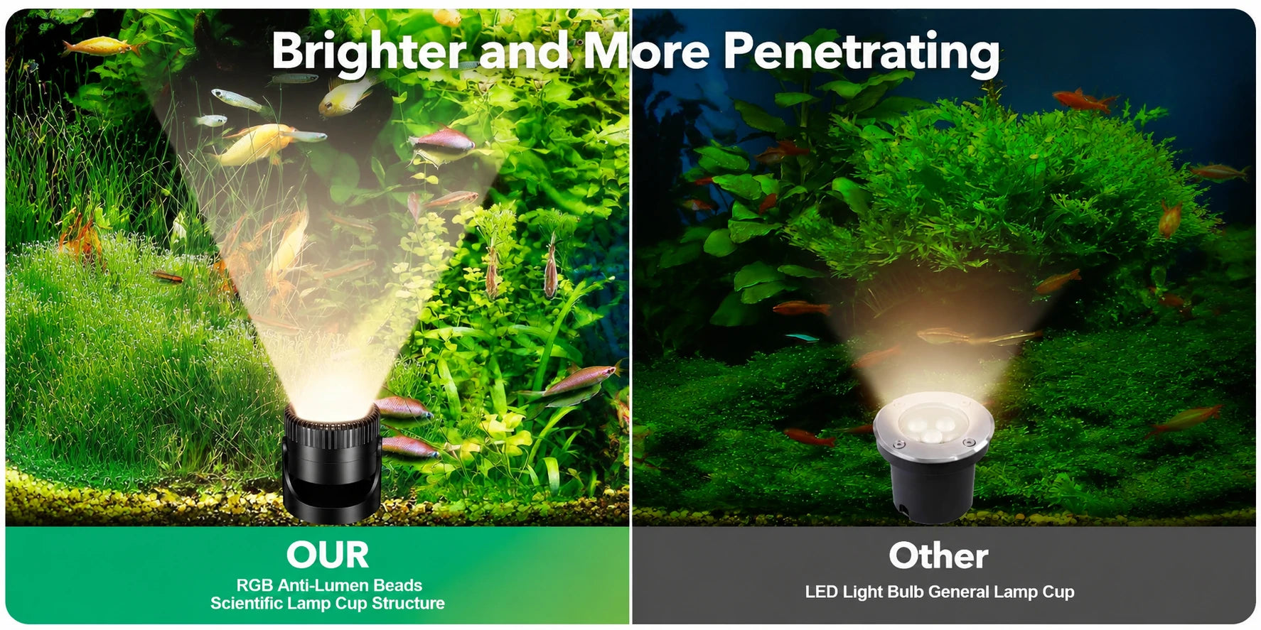 the best solar lights for pond