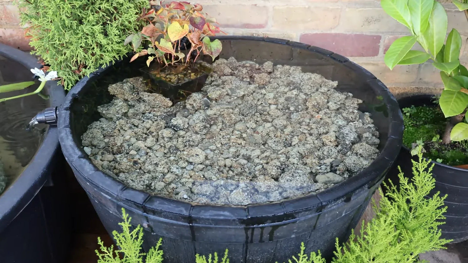 Do it Yourself Pond Filter: Homemade Whiskey Barrel Pond Filter