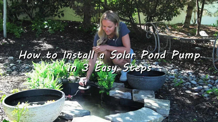 How to Install a Solar Pond Pump in 3 Easy Steps - P108D