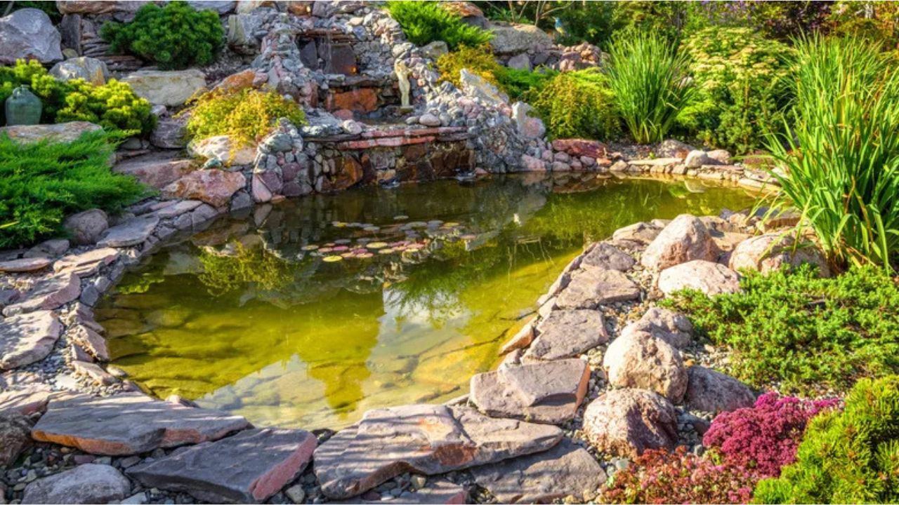 Hydrogen Peroxide for Algae: Is It Safe for Koi Ponds and How to Use It Effectively