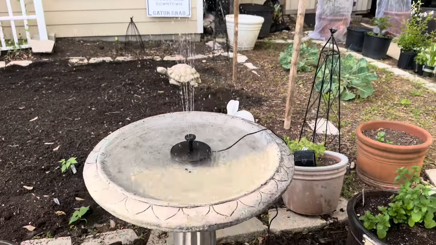 PopoSoap Solar Water Pump Tested & Reviewed | Elevating Our Bird-Watching Experience!