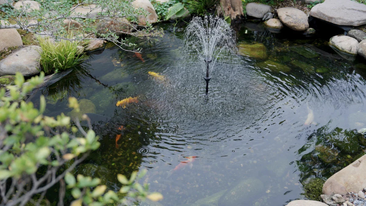 Poposoap fountain pump