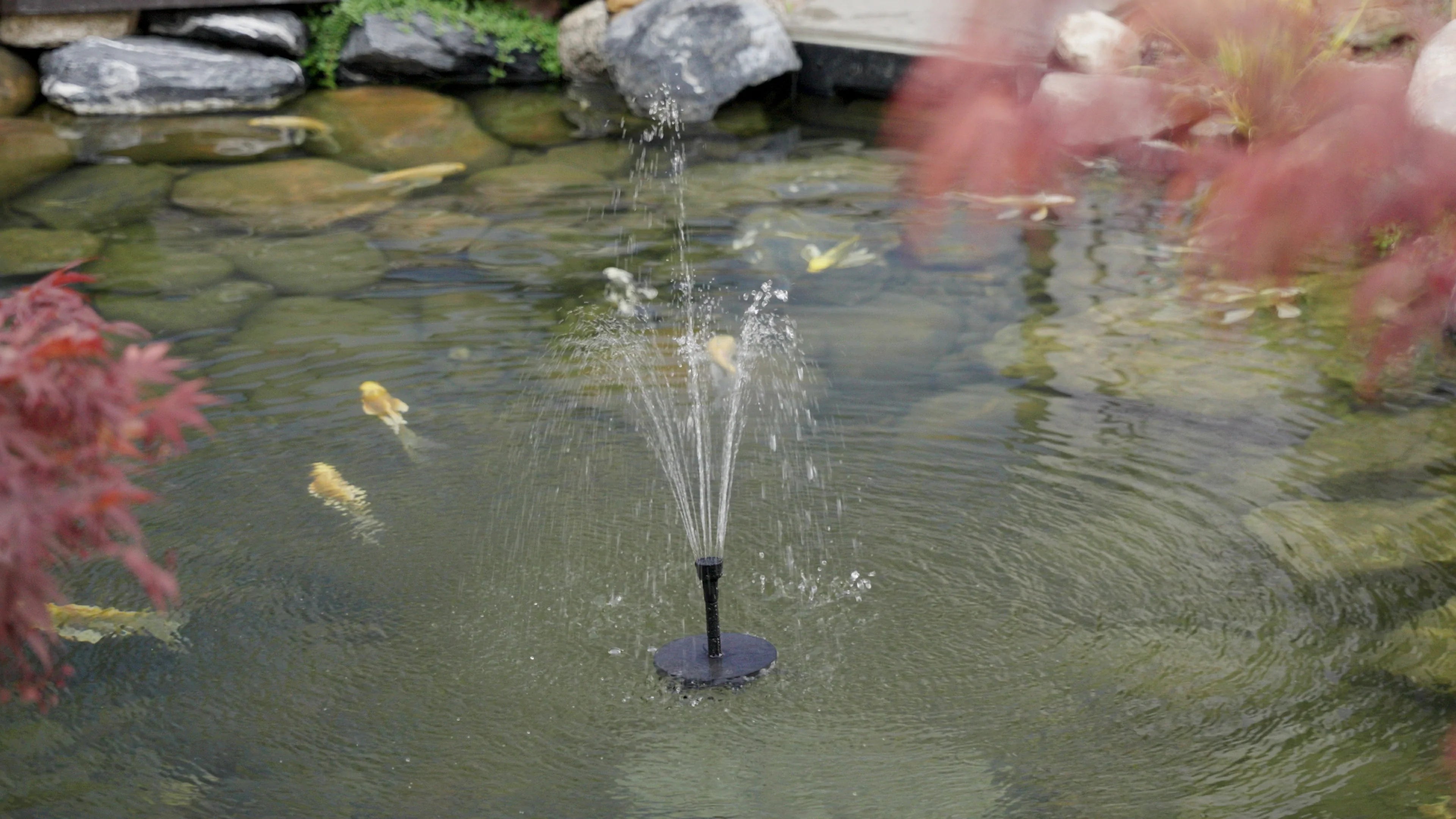 Poposoap Solar Fountain: A Perfect Upgrade for Small Waterscapes