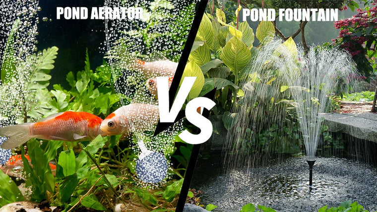Pond Aerator vs Fountain: Which Is Better for Your Pond?