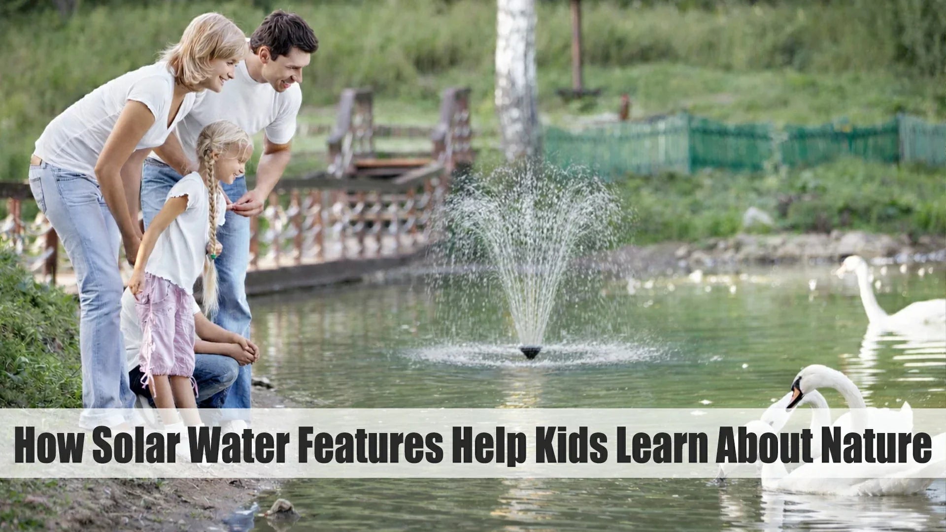 interactive resources for kids to learn about nature