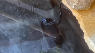 13. Install the Solar Water Fountain Pump inside the pond.