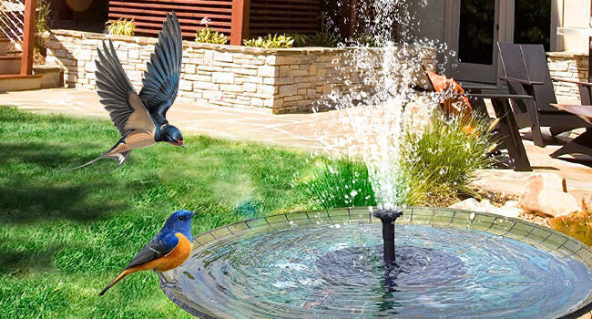 Attract Birds To Your Yard