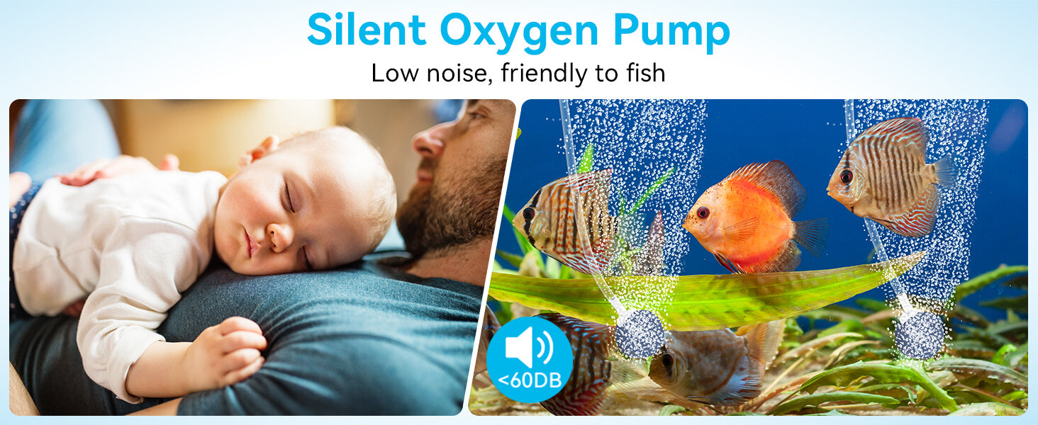 Sleep Peacefully with Library-Level Silence