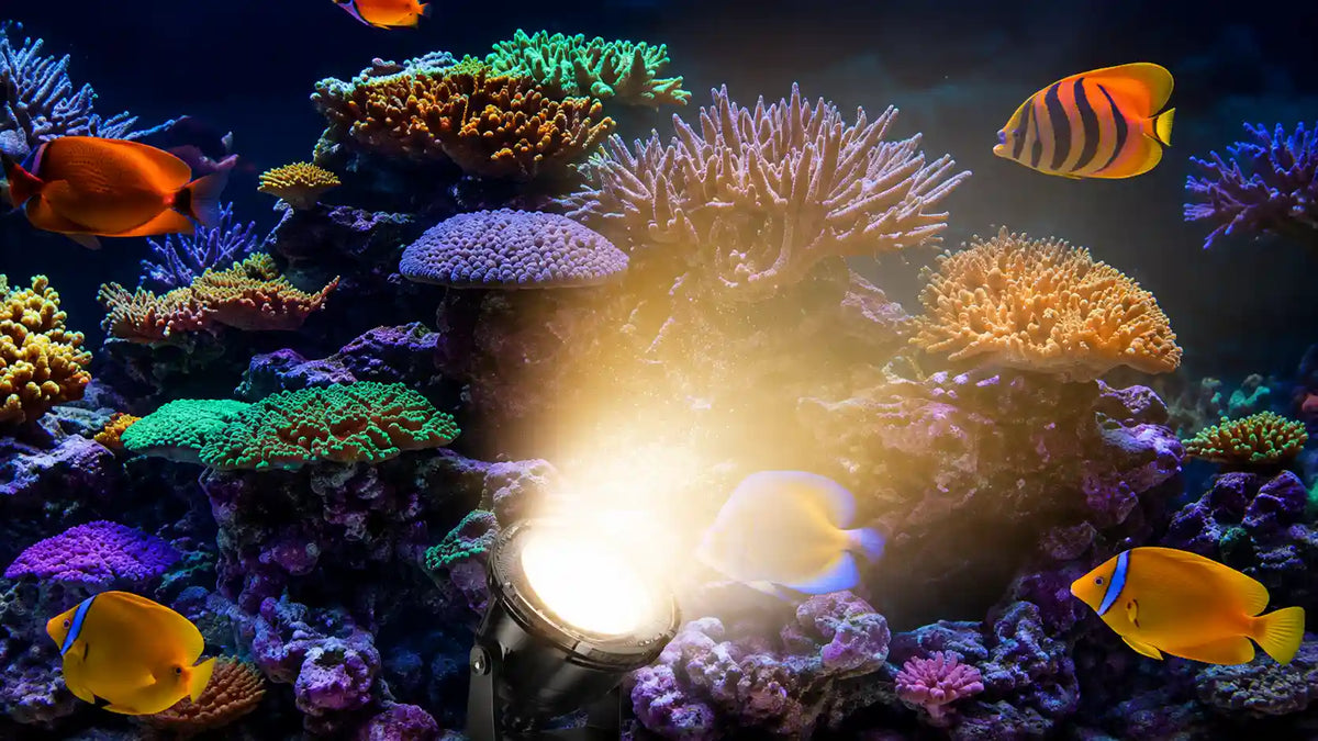 Aquarium pond led lights
