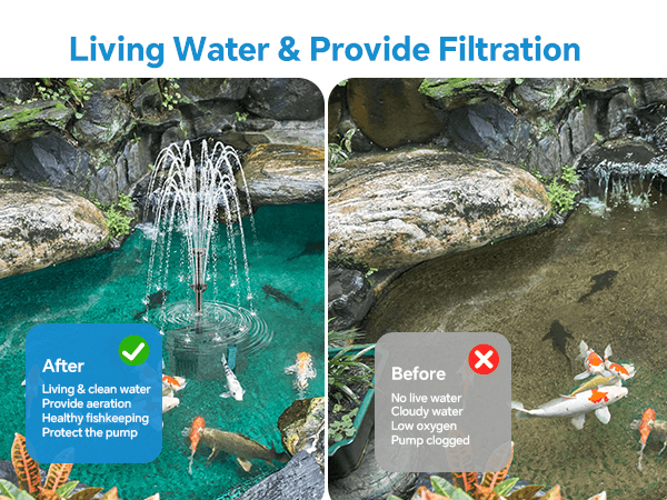 Achieve Crystal-Clear Water & a Thriving Pond Ecosystem!