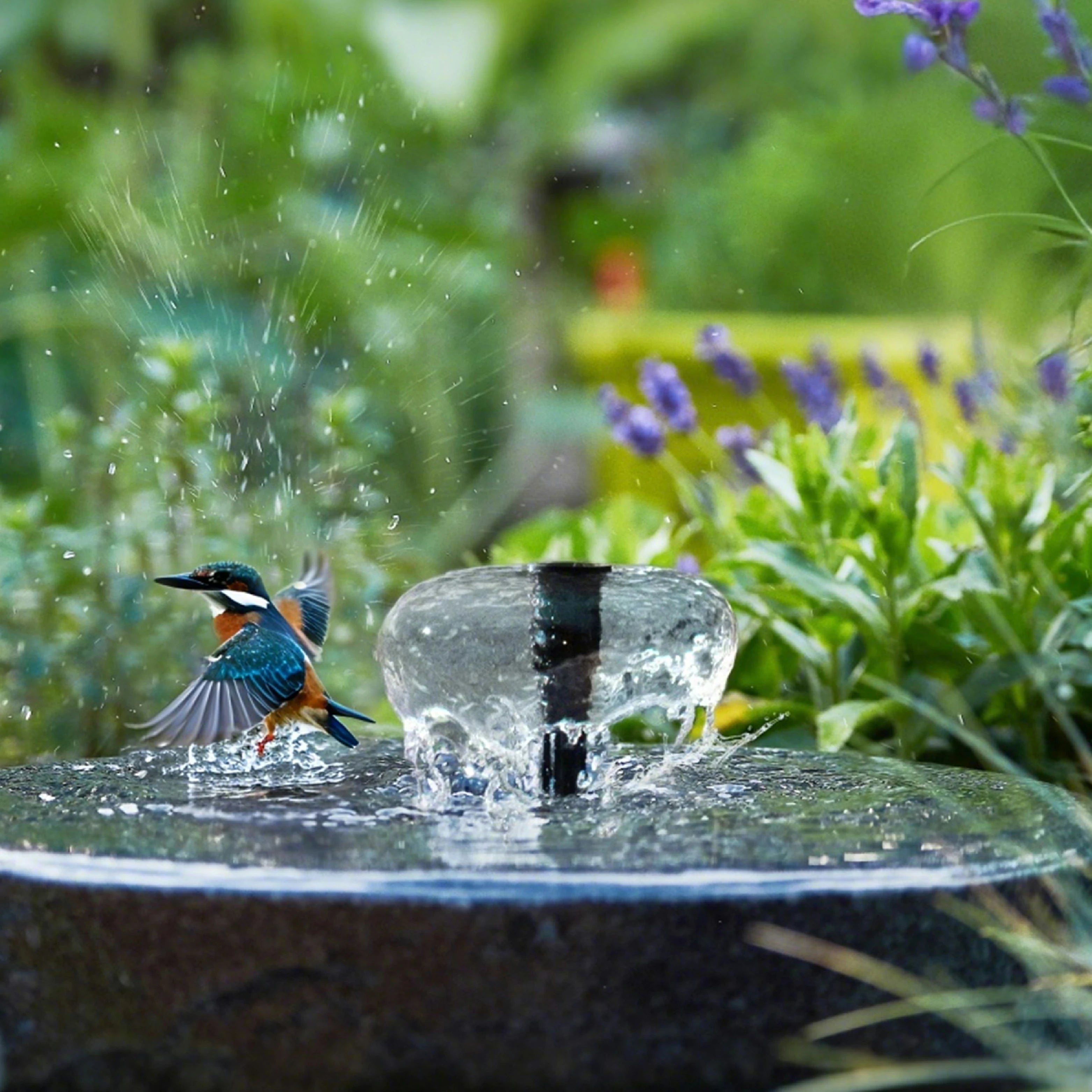 Bird Bath Fountains