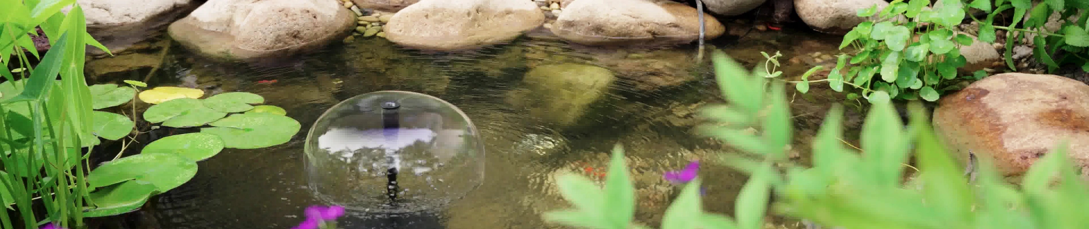 Pond Filter Fountain