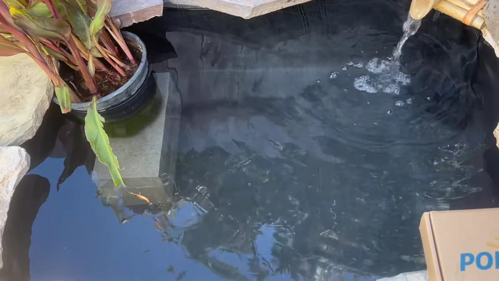 Enjoy Your Above Ground Pond!