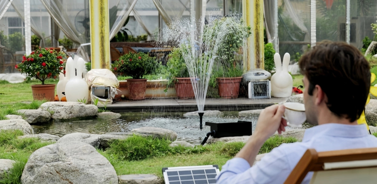 A cultivated backyard water feature scene with natural light, plants, and real scale