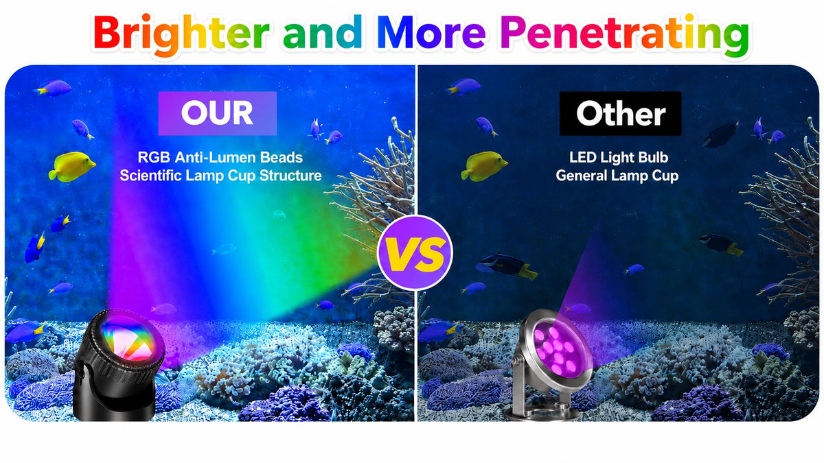 light in pond brighter