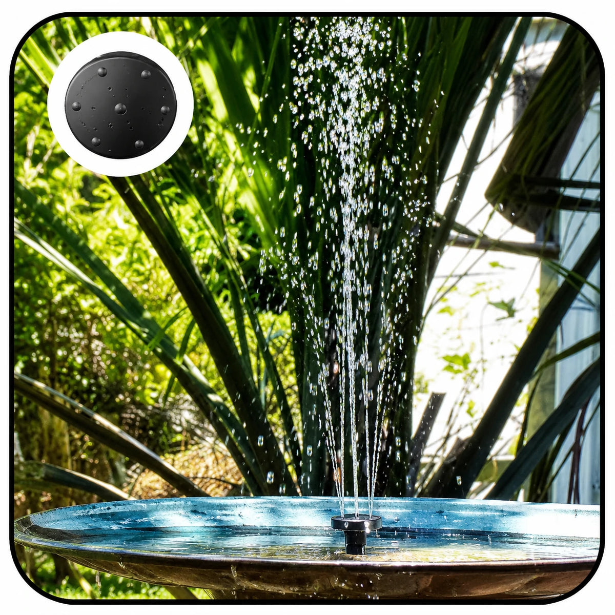 solar pumps for water fountains head